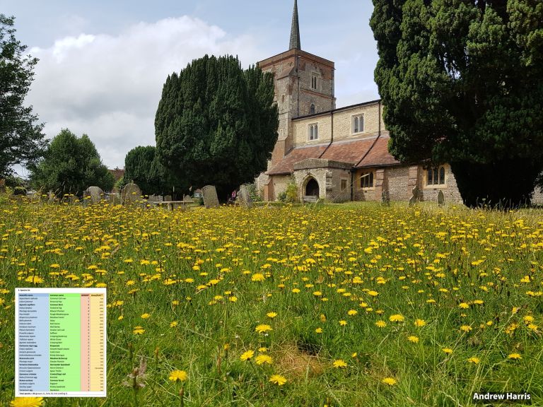 Churchyard Management & Ecology Activities