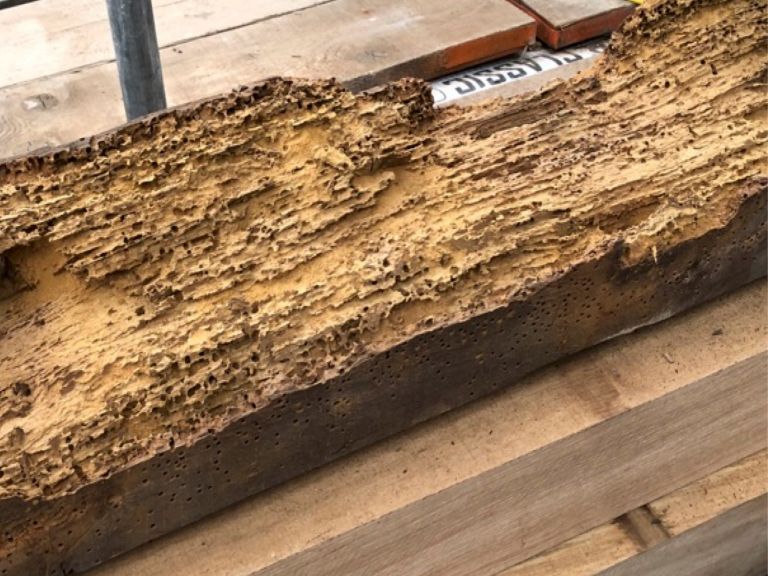 Rotten medieval timbers